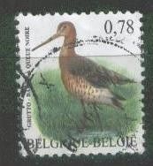 barbe,mésange,pie,tourterelle,bécassine,phragmite,grèbe,huppé,coucou