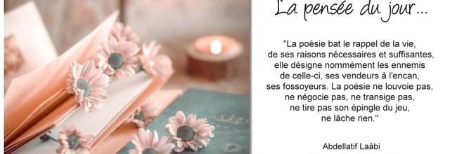 La pensée du jour (197)