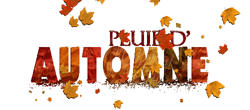 PLUIE D'AUTOMNE