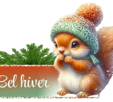 saison hiver, froid,hiver,neige
