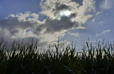 Mes livres des mois d’août et septembre