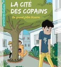 Téléchargez des livres audio en français gratuitement Un grand frère bizarre 9782401062252