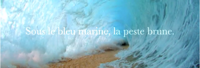 OUI JE SUIS TRES INQUIET ! 6 millions huit cent mille voix sous le bleu marine de la peste brune