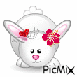Le lapin brillant