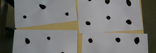 bateaux en papier