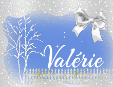 signatureanimée,hiver