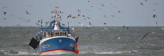 Trouville : Avant tout un port de pêche !