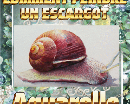 Dessin et peinture - vidéo 4280 : Comment peindre un escargot ? - aquarelle.