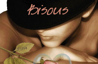Pivoines arbustives...