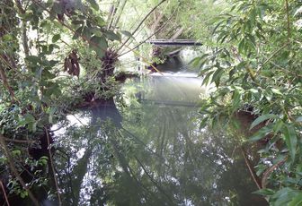 reflets à Saint Jean d'Angély 17