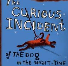Búsqueda y descarga de libros electrónicos. THE CURIOUS INCIDENT OF THE DOG IN THE NIGHT-TIME de MARK HADDON 9780099450252