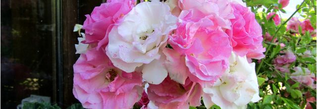 JE VIE DANS MES FLEURS 