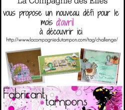 Vous aimez les bestioles sympas ? 