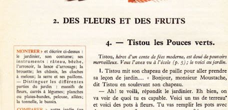 Dumas CM S2 Des fleurs et des fruits