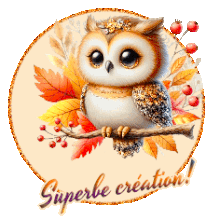 Superbe - magnifique - blinkies
