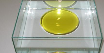 Le laboratoire d'Ann Veronnica Janssens