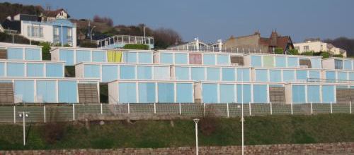 daltonien