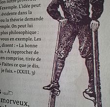 Proverbe 42