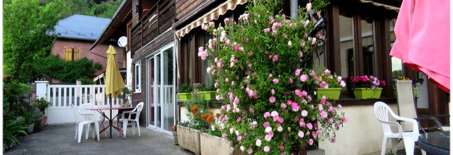 LE NEZ DANS LES FLEURS 
