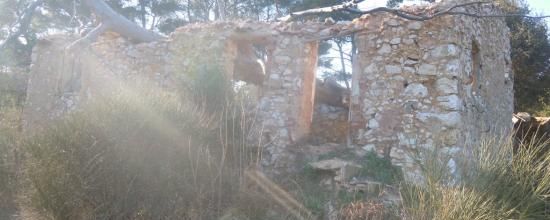 CHEZ AMPHOUX : RESTES D'UN DOMAINE MONTAIGUESQUE