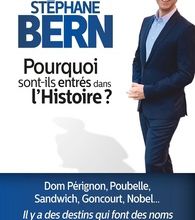 Libérez un téléchargement de livres de certification Pourquoi sont-ils entrés dans l'Histoire ? par Stéphane Bern CHM iBook