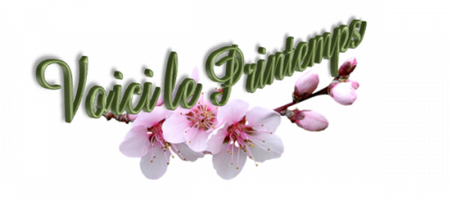 VOICI LE PRINTEMPS 