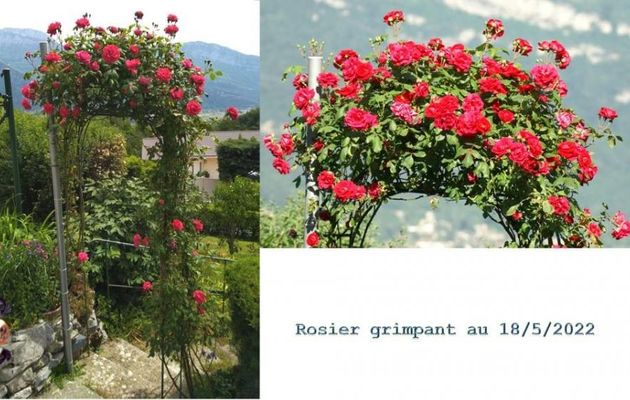 Mon univers au 17/5/2022