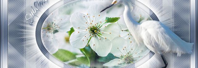 Tutorial Animabelle ~ Sublime Nature