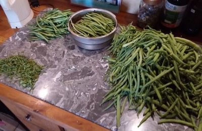 L'été joue les prolongations.....