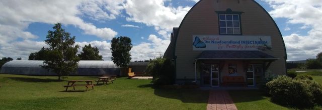 2018 Eastern Canada trip: Day eighteen - From Grand Falls-Windsor to Cormack