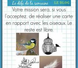 Passions Cartes Créatives #403