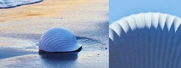 Un casque de protection en coquilles Saint-Jacques ...