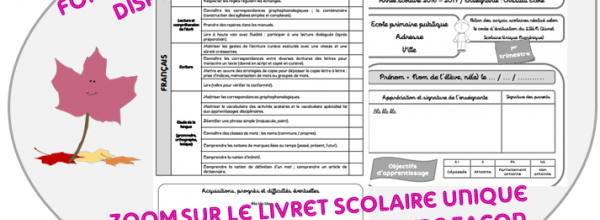 Zoom sur le LSU !