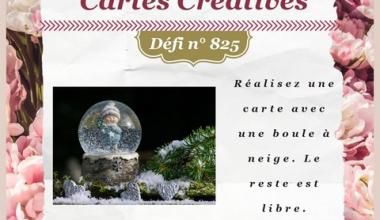 Passion Cartes Créatives#825 !