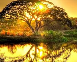 Le soleil descend ... 