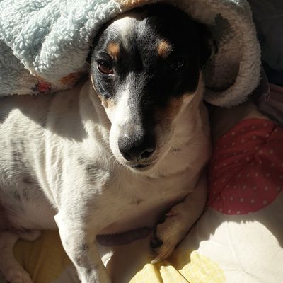 Petite question !!!!