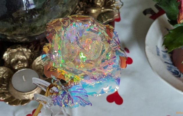 une rose spéciale en cadeau