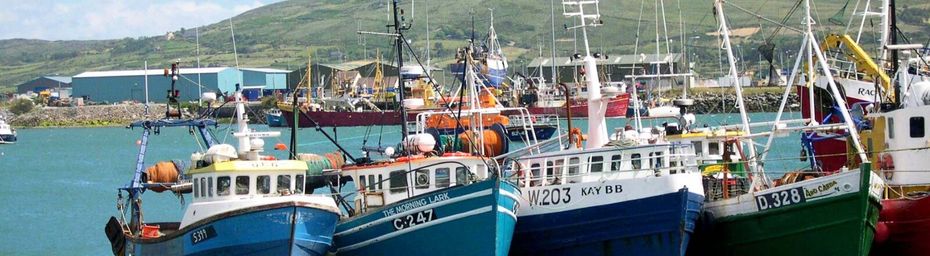 La côte ouest de l'Irlande #1