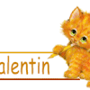 Chat, signatures animees