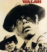 BOX OFFICE FRANCE 1971 TOP 141 A 150