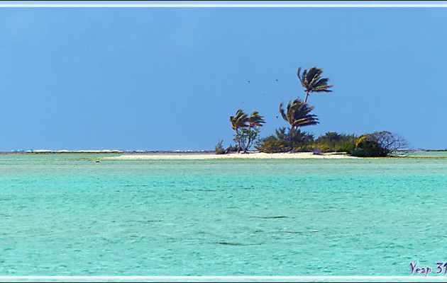 Un motu très beau mais trop petit pour un Robinson - Sud de Fakarava (Tetamanu) - Tuamotu - Polynésie française