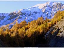 Col de la Bonette "hiver" #1