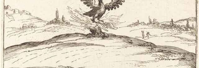 Phoenix