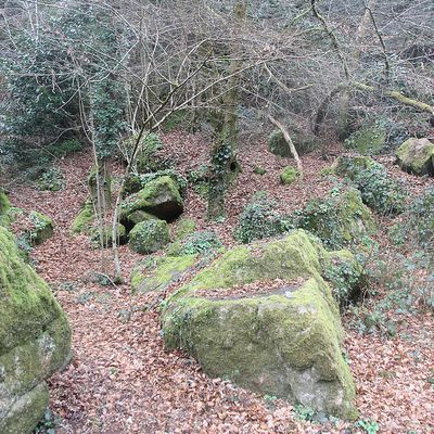 Lumières sur L'Aven et le Belon