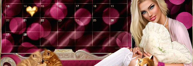 Défi Calendrier de Shanel