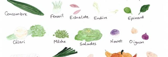 Fruits et légumes d'Octobre