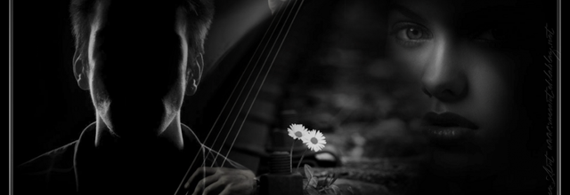 Emotions Of Strings - Az érzelem húrjai