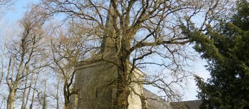 Sur le chemin de halage le long du Blavet (1)