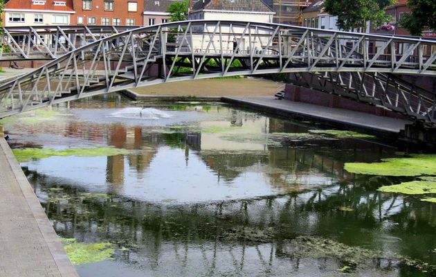 Défi reflets  N°1 / 2024