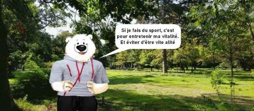 Les aventures des banquisards 